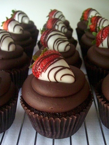 Chocolate Cupcake chocolate cupcake